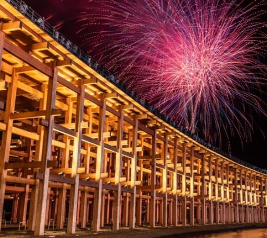 Expo Thanks Fireworks Display