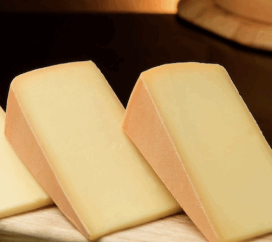 The Cheese Expo Melts Hearts at Banpaku The Cheese Expo Melts Hearts at Banpaku