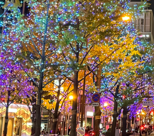 Midosuji Illumination: Osaka’s History in Lights
