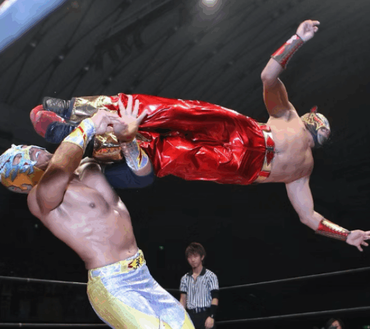 Ringside in the Park