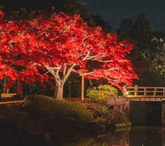 Japanese Garden Autumn Light-Up Japanese Garden Autumn Light-Up