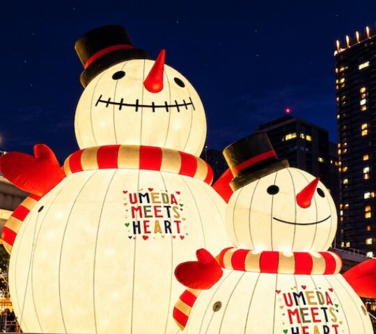 Hikari Renaissance: Nakanoshima’s River of Light