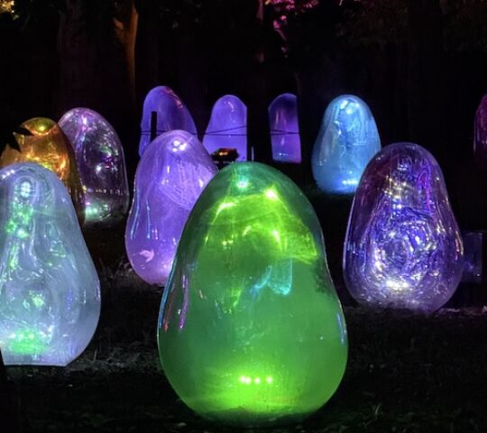 teamLab Spring Reopening teamLab Spring Reopening