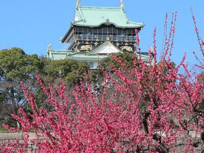 Osaka Castle Park Plum Grove