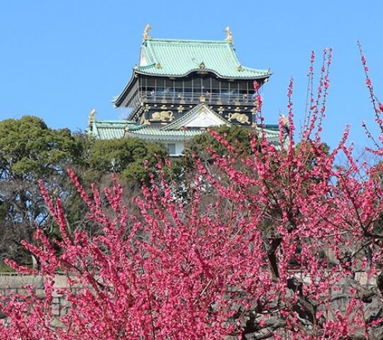 Osaka Castle Park Plum Grove Osaka Castle Park Plum Grove