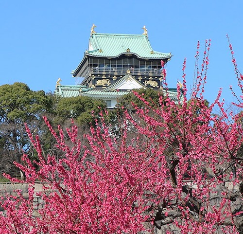 Osaka Castle Park Plum Grove - Osaka Scene