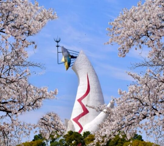Expo ’70 Park Cherry Blossoms