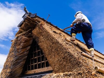 A 140-Year-Old House Lives Again