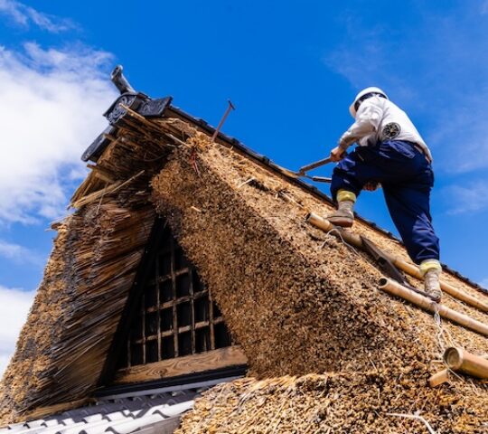 A 140-Year-Old House Lives Again
