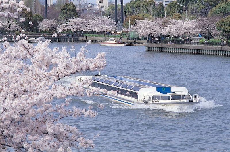 Kema Sakura Boat