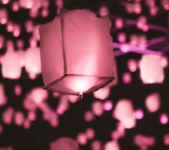 Lanterns Take Flight at Tonboike Park