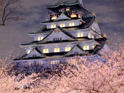 Nishinomaru Garden Sakura Light-Up