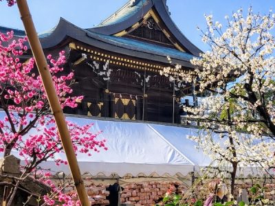 Ume Matsuri at Osaka Tenmangū