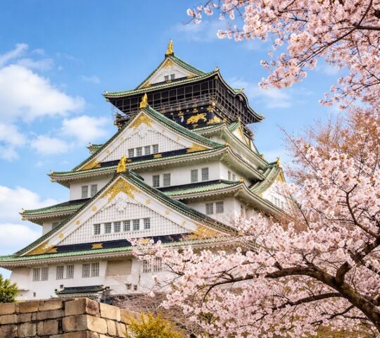 Osaka Castle Spring Festival