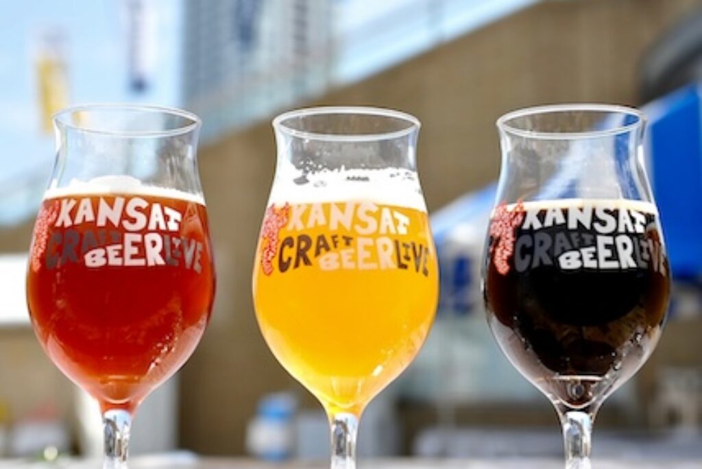 Osaka Beer Festival Season: A Citywide Guide to Craft Beer