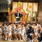 Osaka in a Different Color: Hydrangeas in Bloom