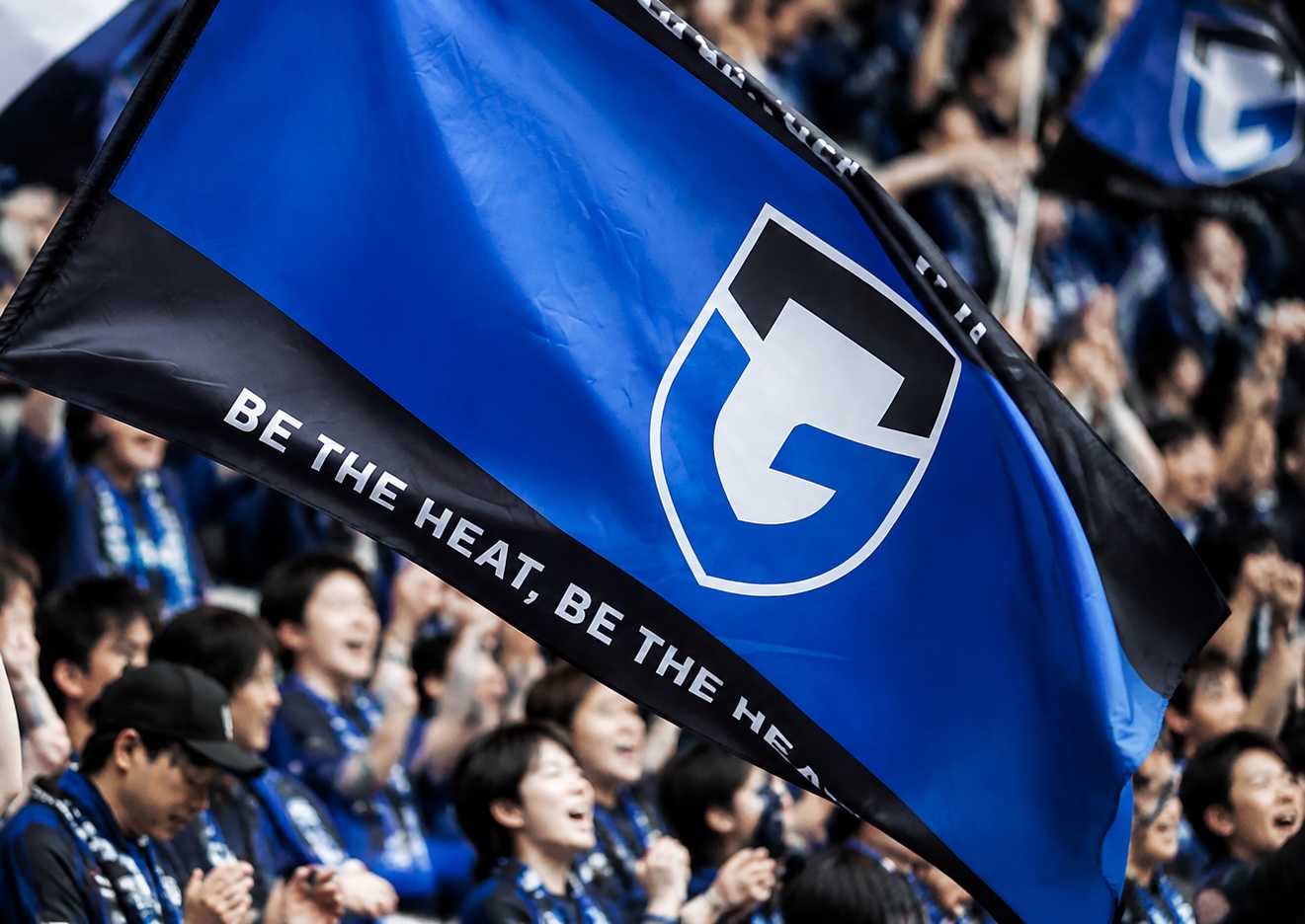 Gamba Flag