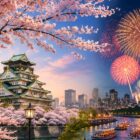 Festival Fever Rises at Summer’s Last Glow