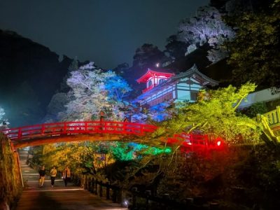 Summer Nights Shine Bright at Minoh Falls