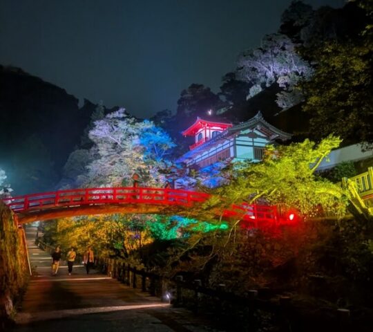 Summer Nights Shine Bright at Minoh Falls