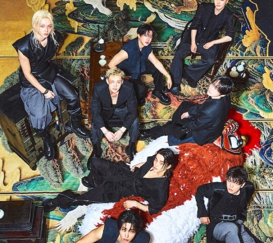 Stray Kids Find a Home in Osaka