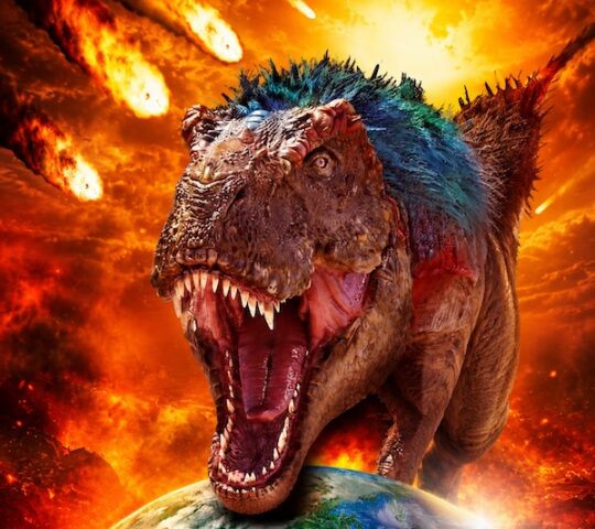 Beyond the Dinosaurs