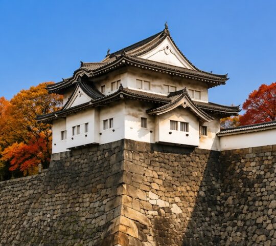 See Two Hidden Turrets at Osaka Castle