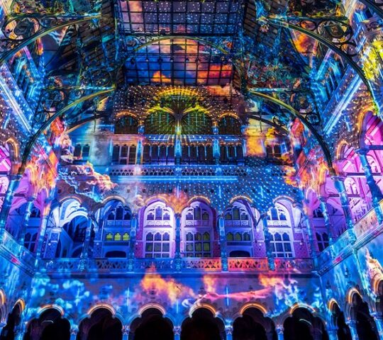 Surrounded Inside a World of Art