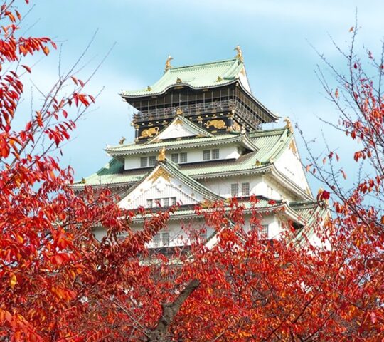 Osaka Castle Celebrates 95 Years