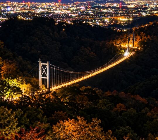 A Glowing Bridge Above Osaka’s Forest