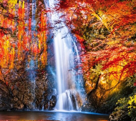 Minoh Autumn Leaves Festival
