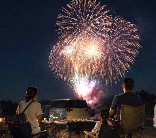 Takaishi Super Fireworks